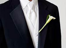Suits for Bridegroom