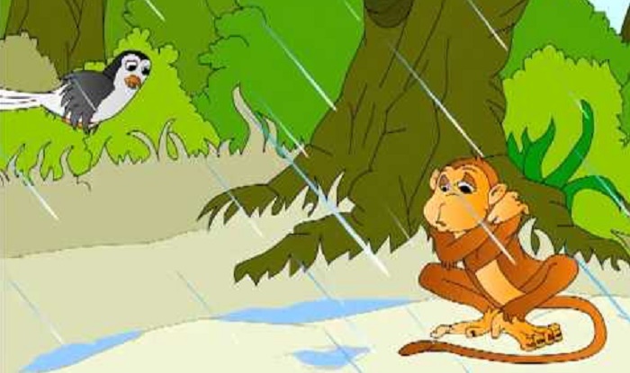 The Birds and the Shivering Monkeys Story